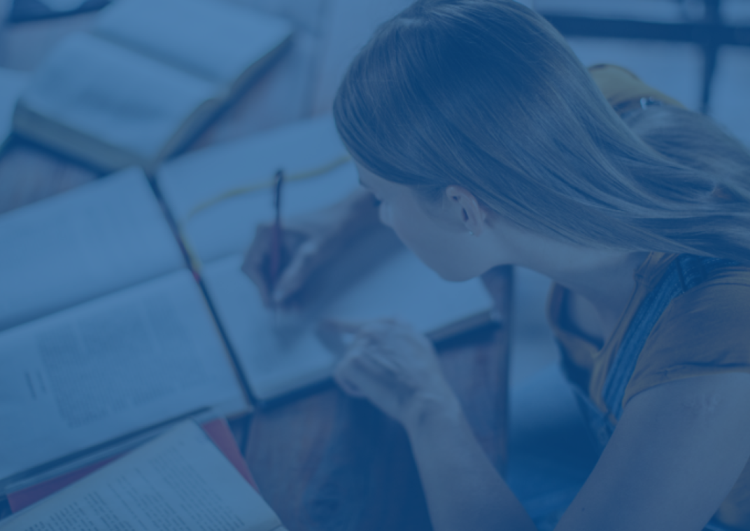 Studietoeslag