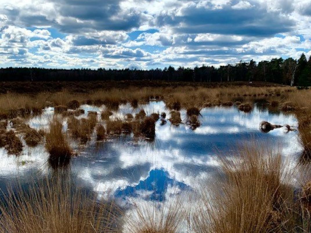 marlous-de-boer-natuur-en-landschap-renderklippen