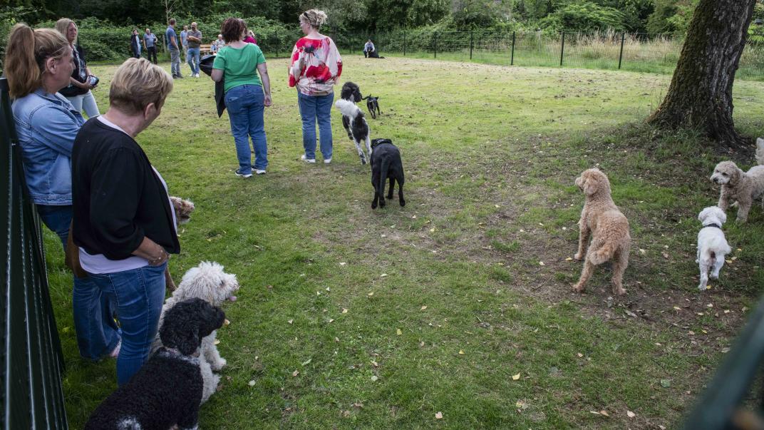 Gemeente Epe opening hondenuitlaatveld Slotgraskamp